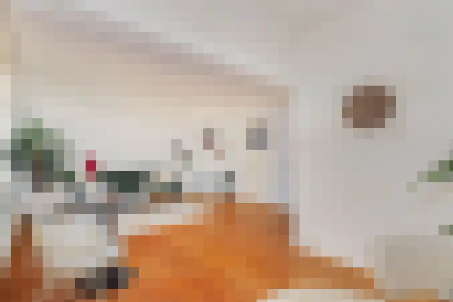 Mijdrechtstraat 6 BS Utrecht thumbnail 5