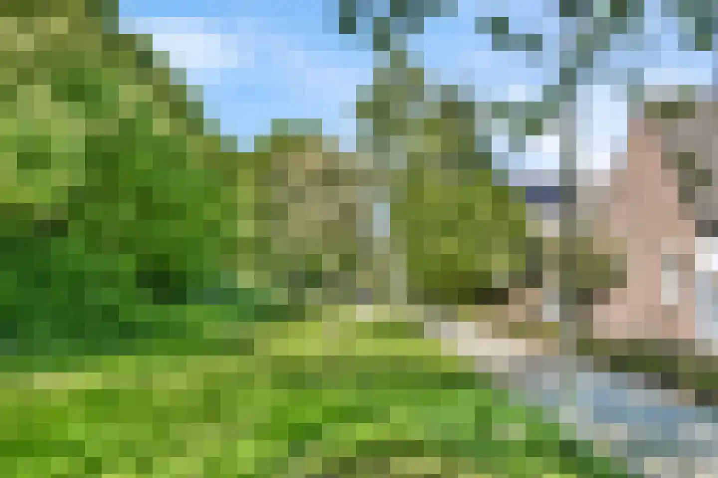 Mijehof 290 Amsterdam thumbnail 27