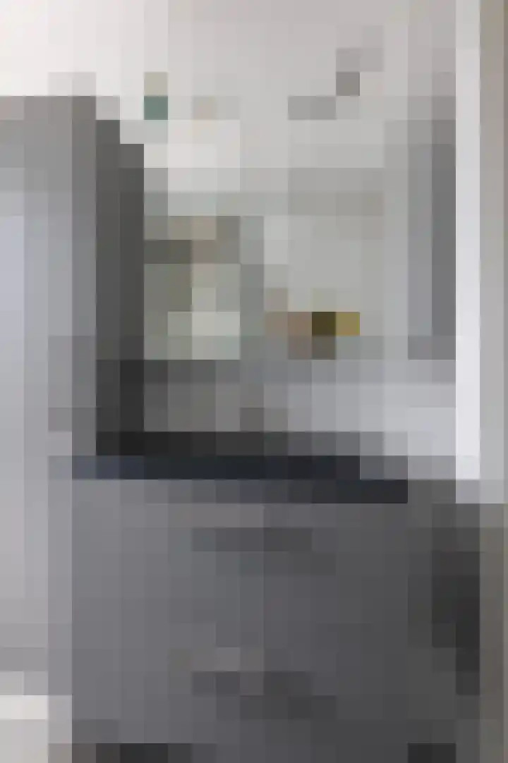 Mijehof 33 Amsterdam thumbnail 13