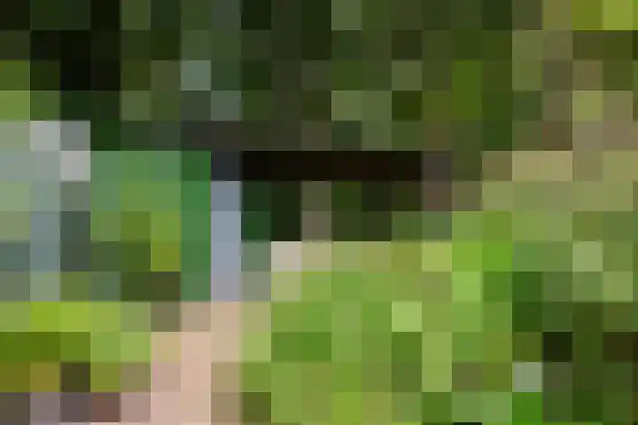Mijehof 33 Amsterdam thumbnail 19