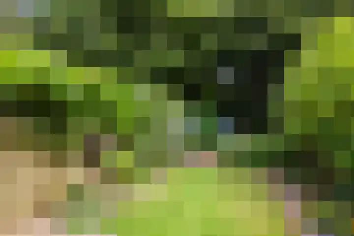 Mijehof 33 Amsterdam foto 2
