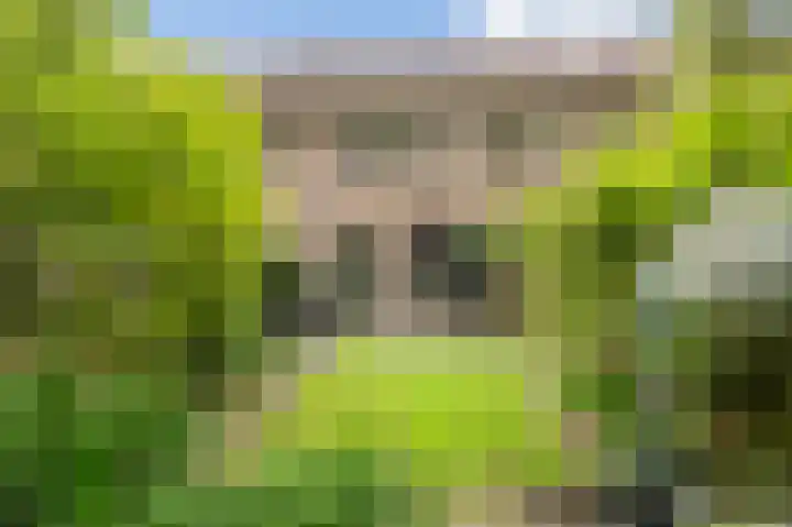 Mijehof 33 Amsterdam thumbnail 20
