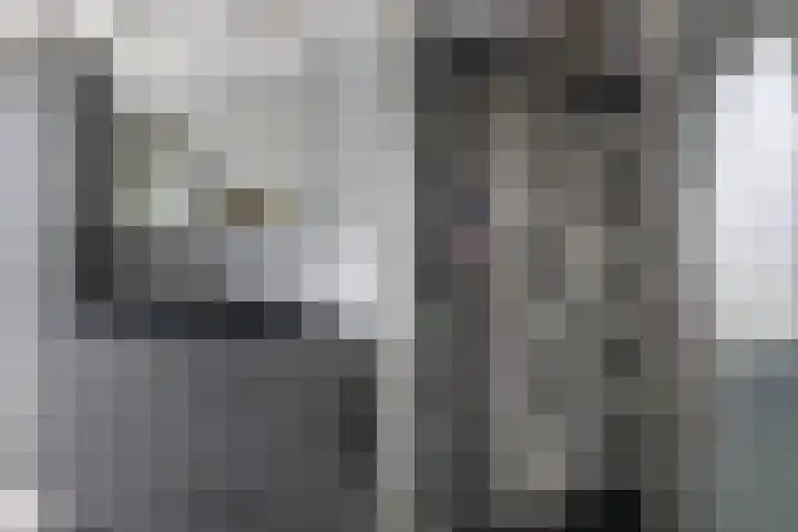 Mijehof 33 Amsterdam thumbnail 5