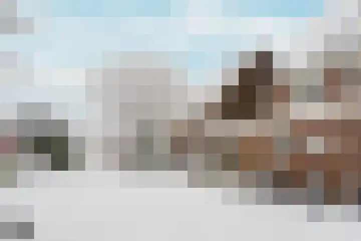 Mijehof 407 Amsterdam thumbnail 28