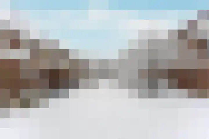Mijehof 407 Amsterdam thumbnail 32