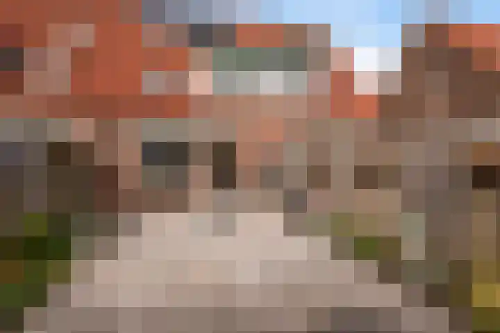 Mijehof 409 Amsterdam thumbnail 13
