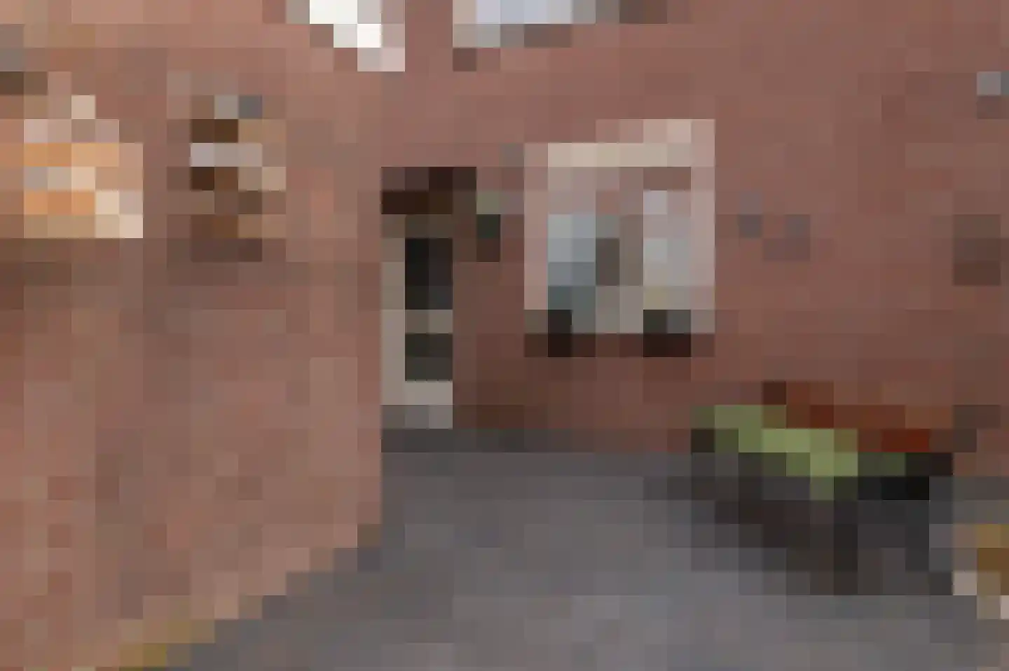 Mijehof 409 Amsterdam thumbnail 17