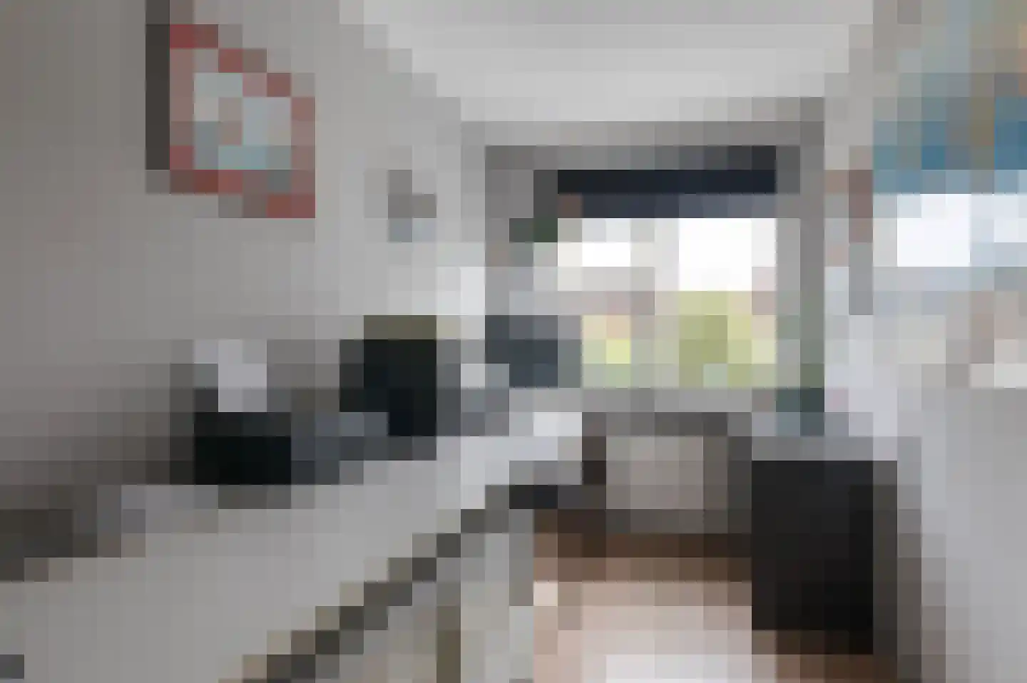 Mijehof 409 Amsterdam thumbnail 23
