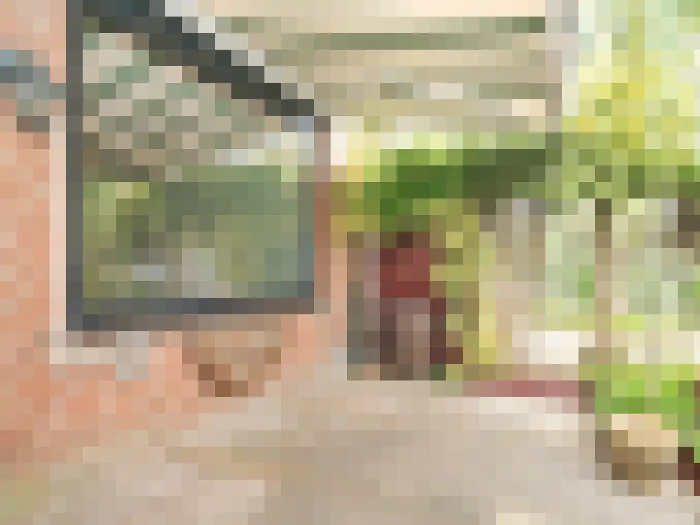 Mijehof 79 Amsterdam thumbnail 17