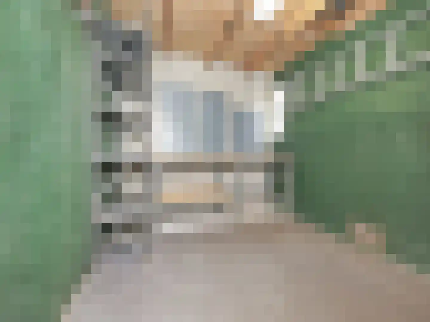 Mijehof 79 Amsterdam thumbnail 45
