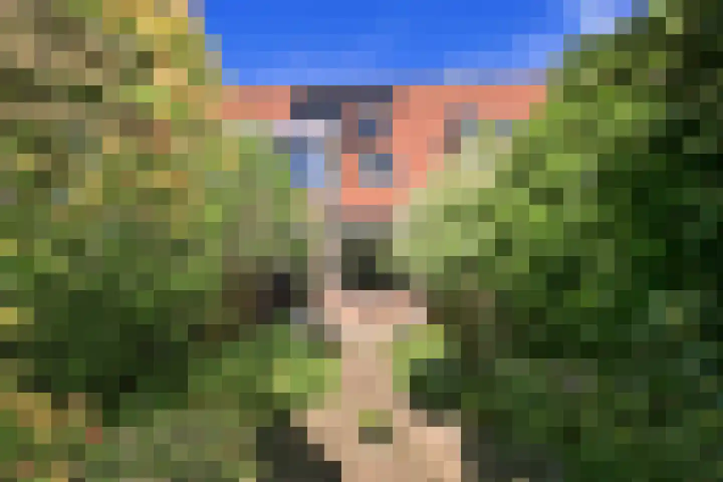 Mijehof 79 Amsterdam thumbnail 5