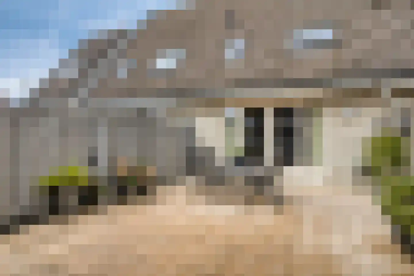 Mijl 19 Beuningen Gld thumbnail 26