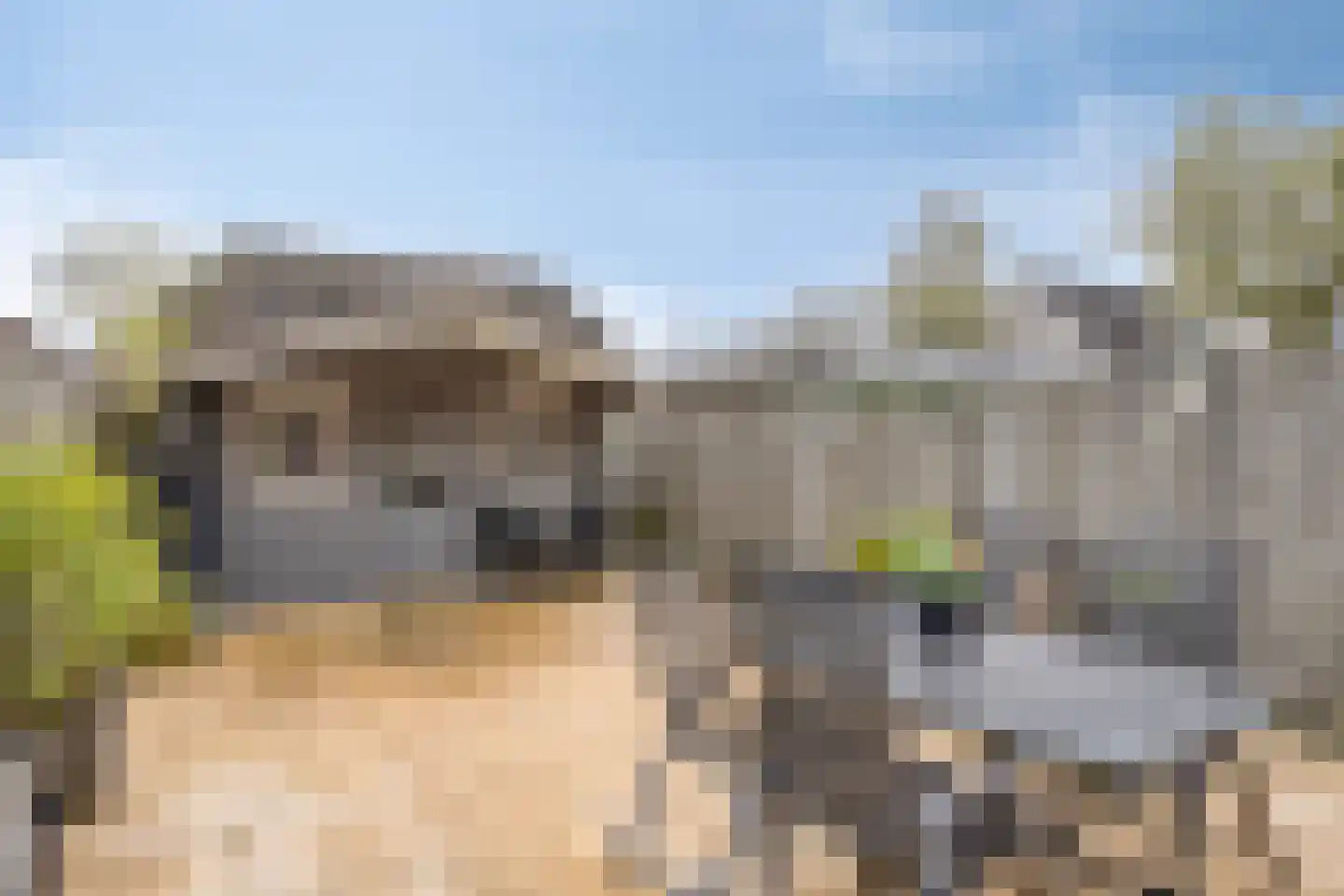 Mijl 19 Beuningen Gld thumbnail 27