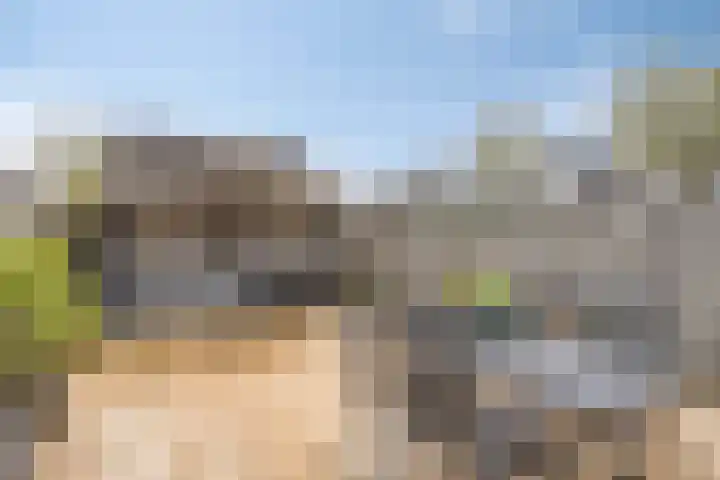 Mijl 19 Beuningen Gld thumbnail 27