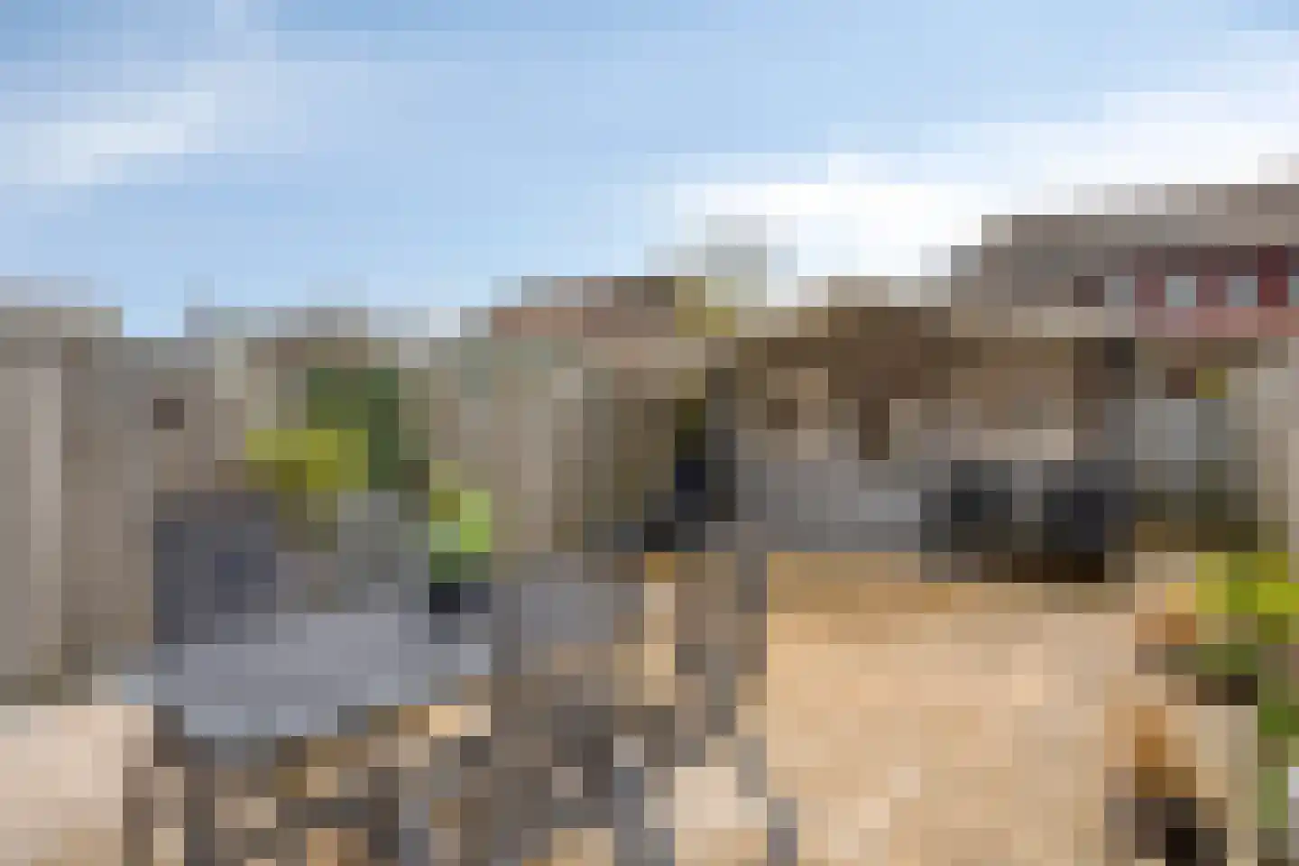 Mijl 19 Beuningen Gld thumbnail 29