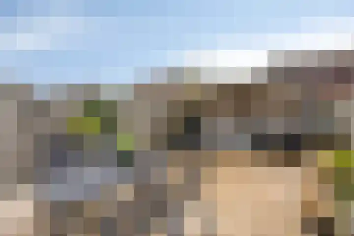 Mijl 19 Beuningen Gld thumbnail 29