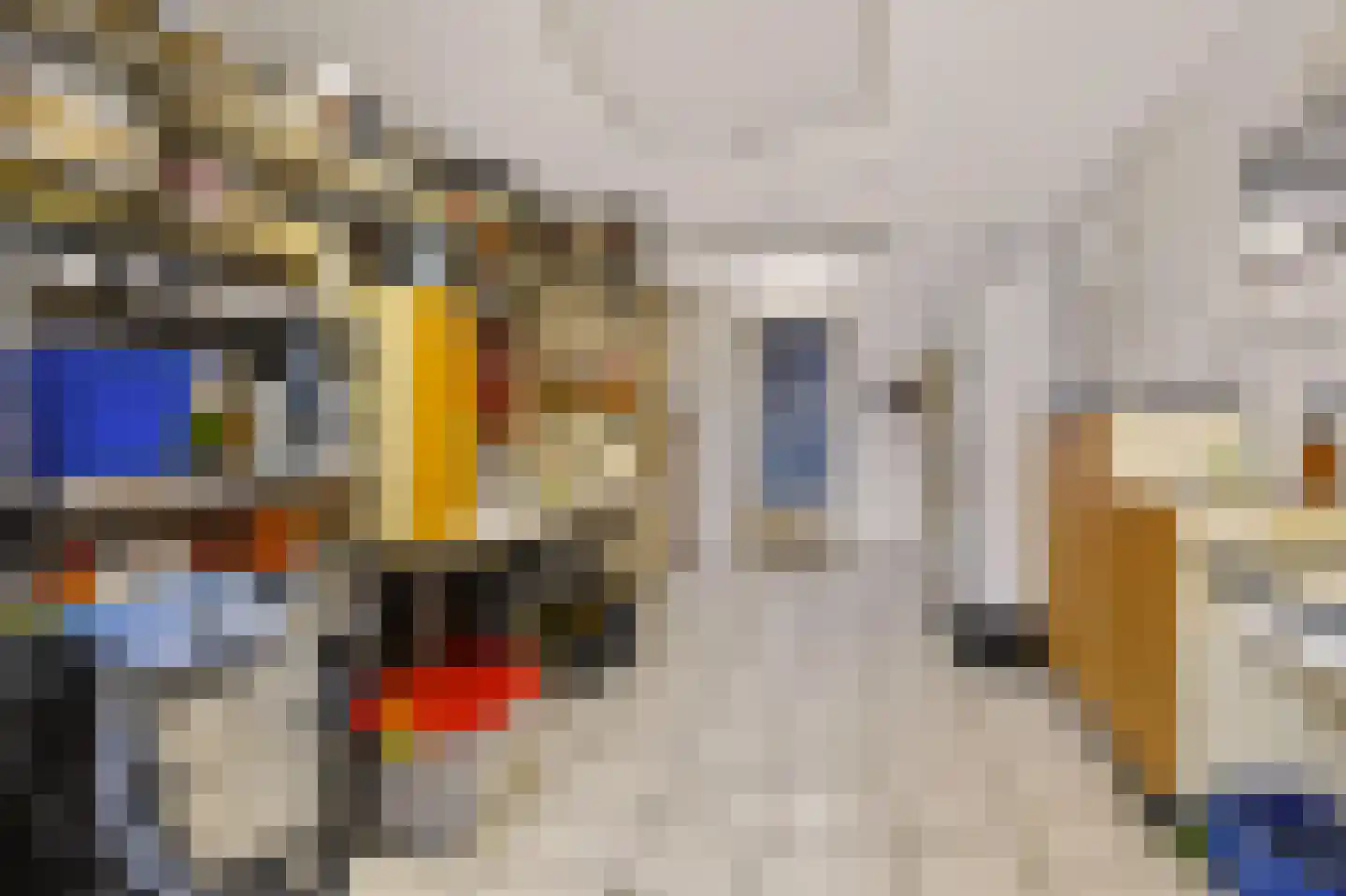 Mijl 32 Beuningen Gld thumbnail 20