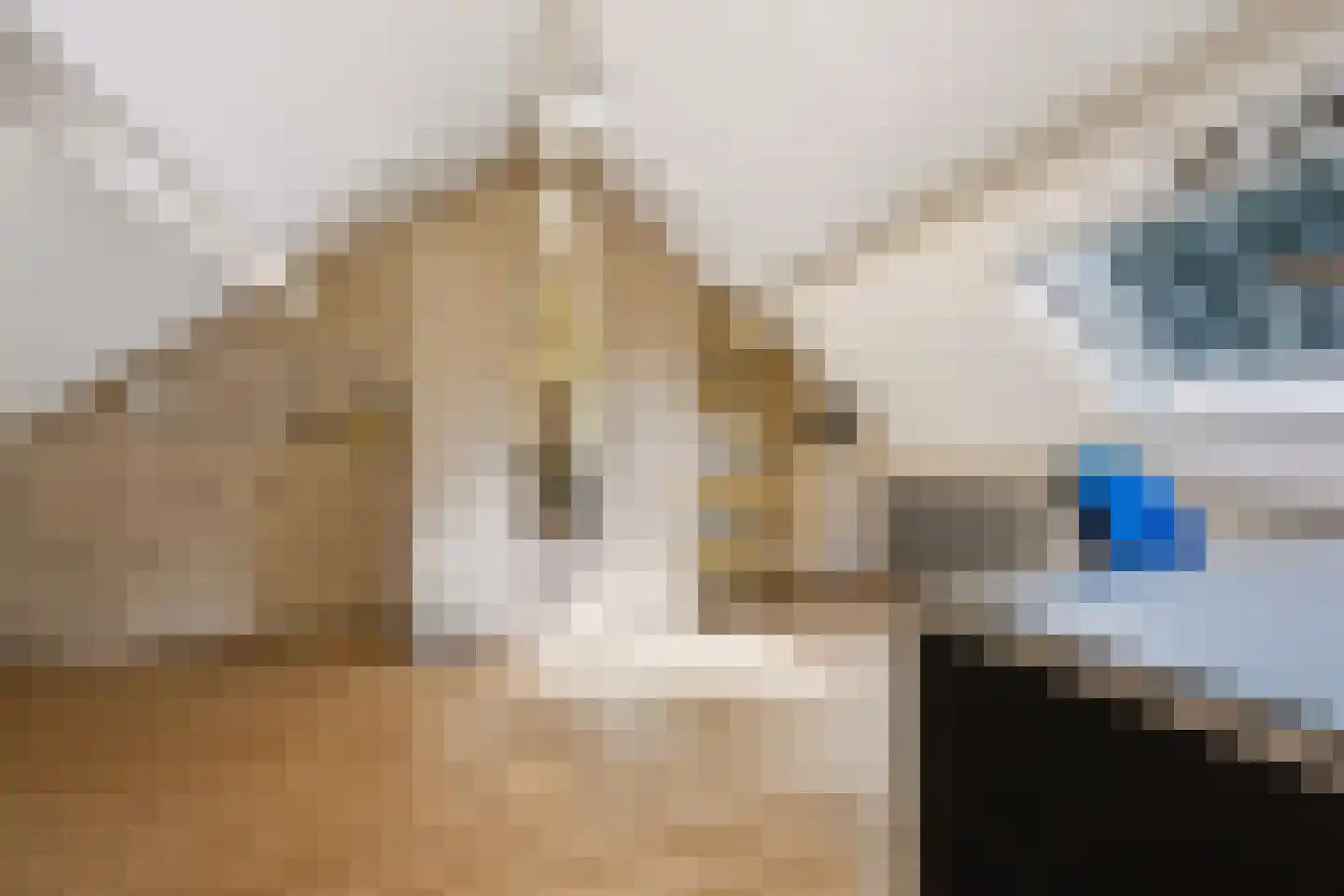 Mijl 32 Beuningen Gld thumbnail 33
