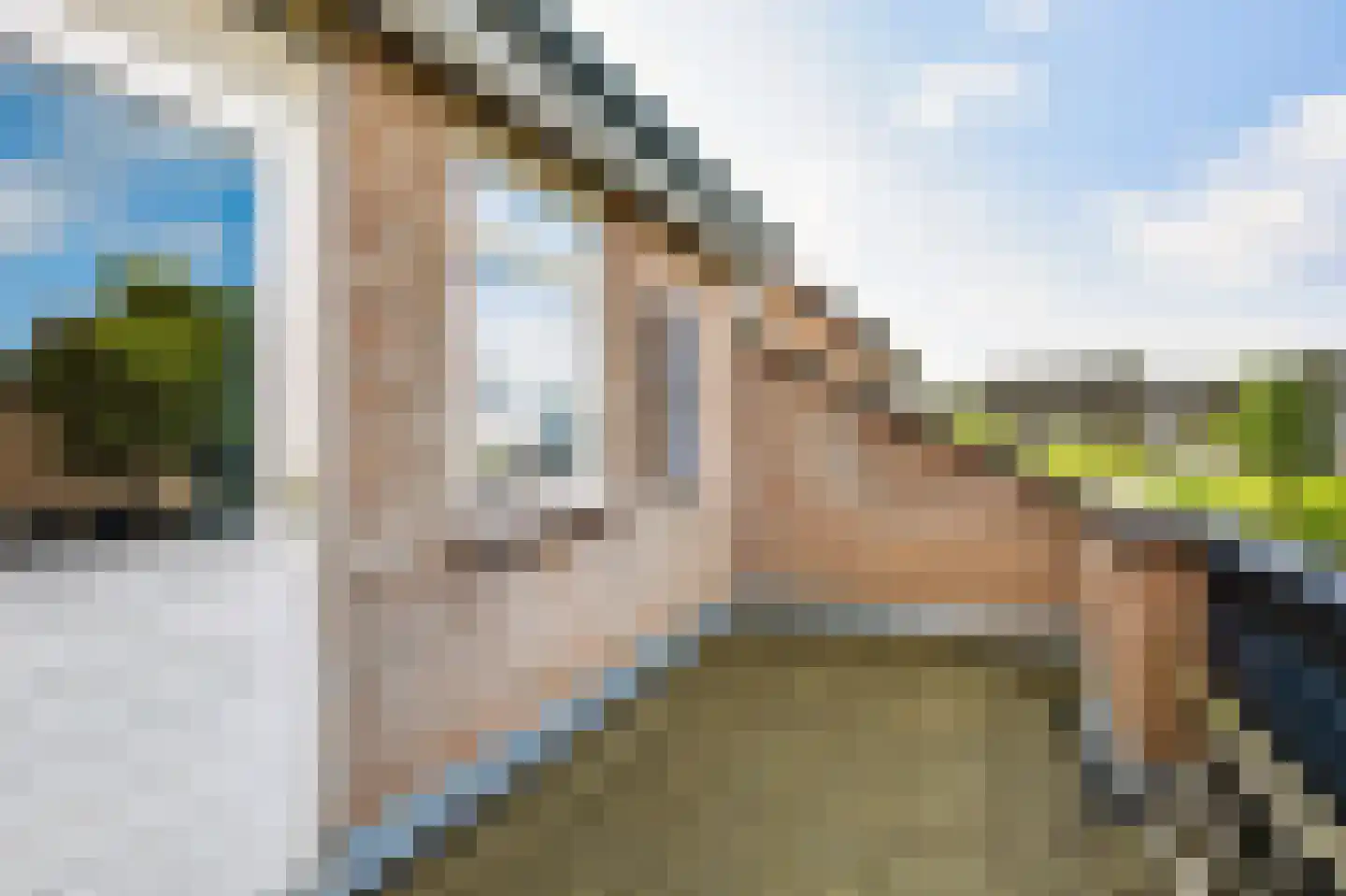 Mijl 32 Beuningen Gld thumbnail 44