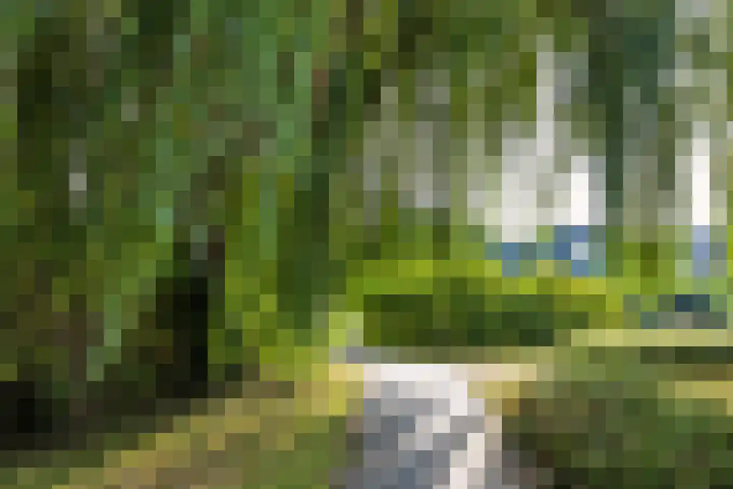 Mijl 32 Beuningen Gld thumbnail 56