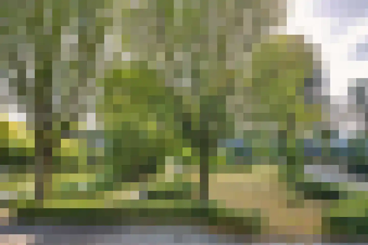 Mijl 32 Beuningen Gld thumbnail 57