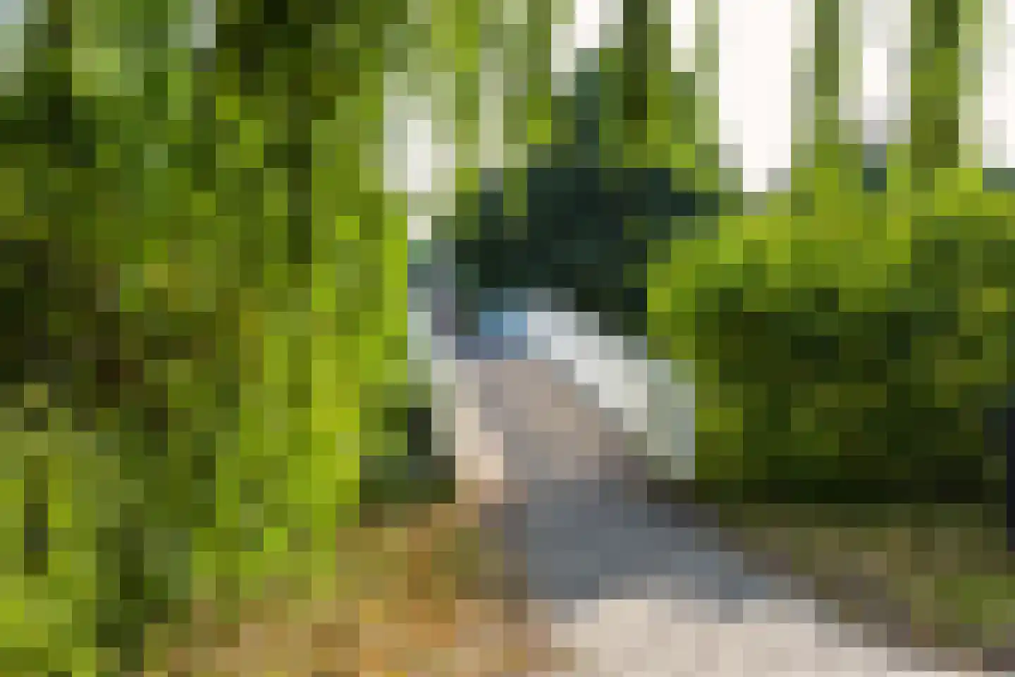 Mijl 32 Beuningen Gld thumbnail 58
