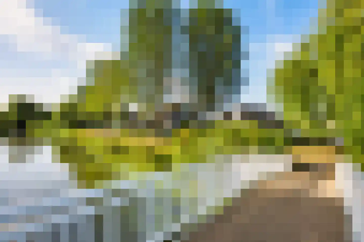 Mijl 32 Beuningen Gld thumbnail 60
