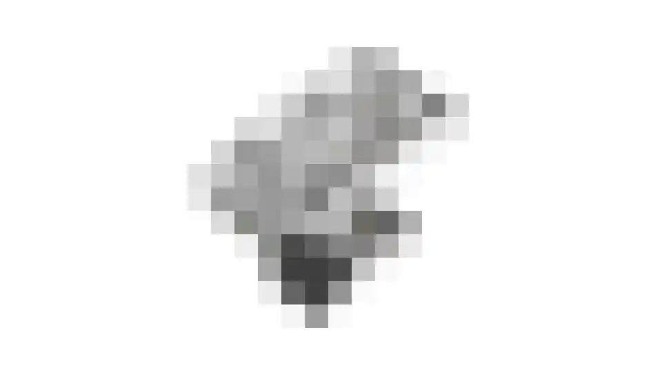 Mijl 32 Beuningen Gld thumbnail 65
