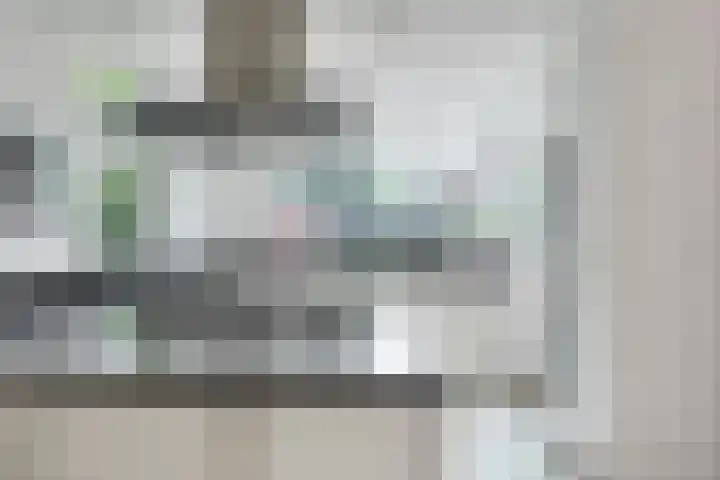 Mijlpaal 4 Den Haag thumbnail 10