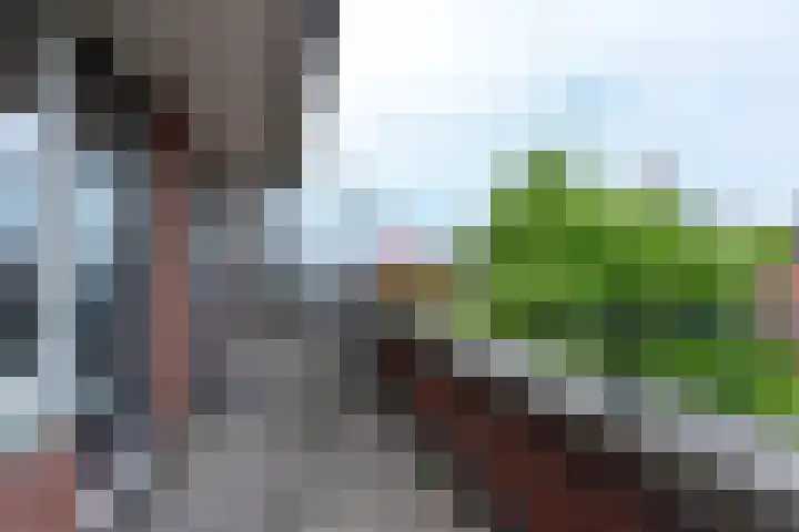 Mijlpaal 4 Den Haag thumbnail 18