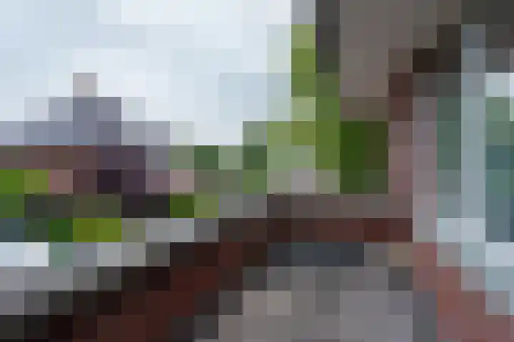 Mijlpaal 4 Den Haag thumbnail 19