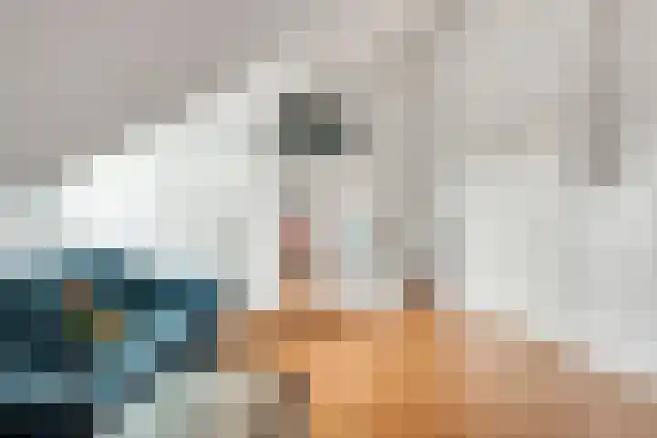 Mijlpaal 4 Den Haag thumbnail 23
