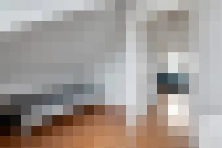 Mijlpaal 4 Den Haag thumbnail 24
