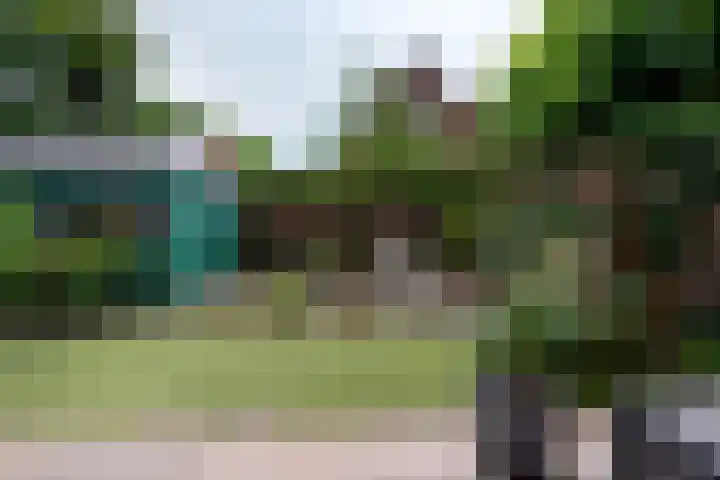 Mijlpaal 4 Den Haag thumbnail 28