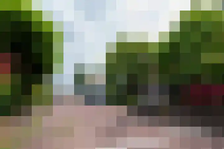 Mijlpaal 4 Den Haag thumbnail 29