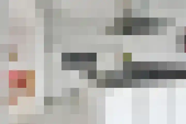 Mijlpaal 4 Den Haag thumbnail 9