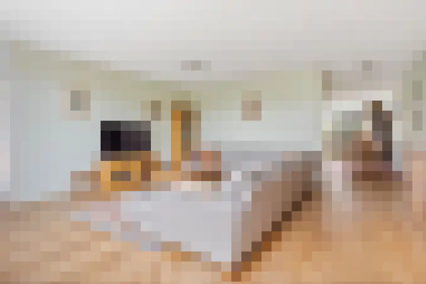 Mijlpaal 9 Den Haag thumbnail 10