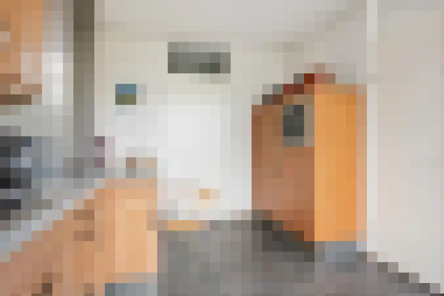 Mijlpaal 9 Den Haag thumbnail 15