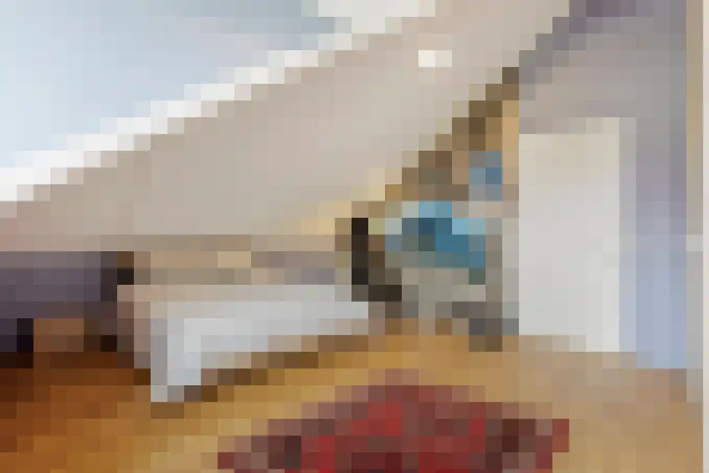 Mijlpaal 9 Den Haag thumbnail 30
