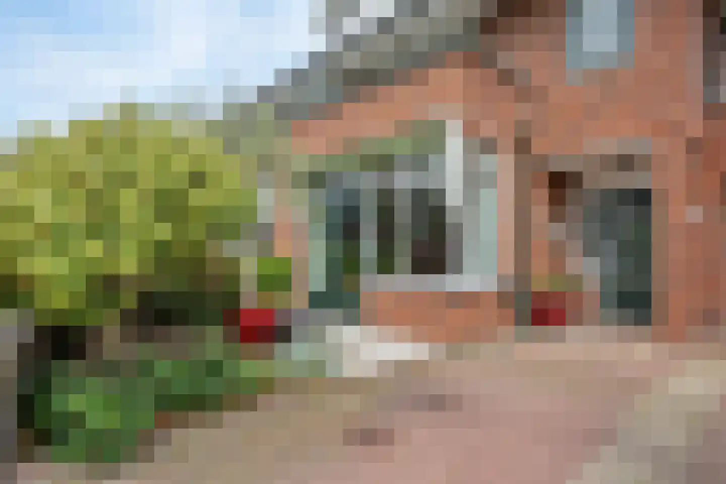 Mijlpaal 9 Den Haag thumbnail 4