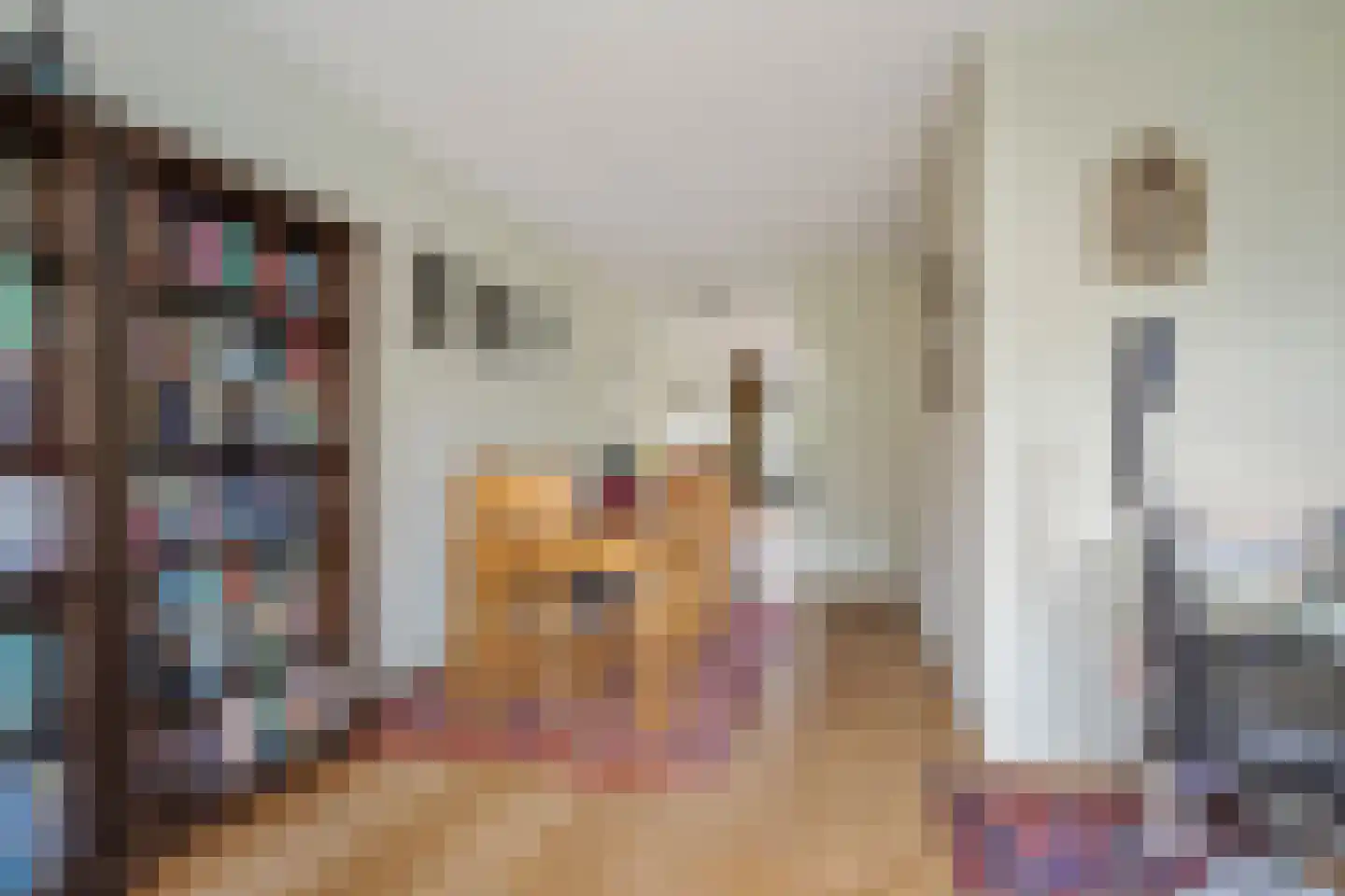 Mijlpaal 9 Den Haag thumbnail 8