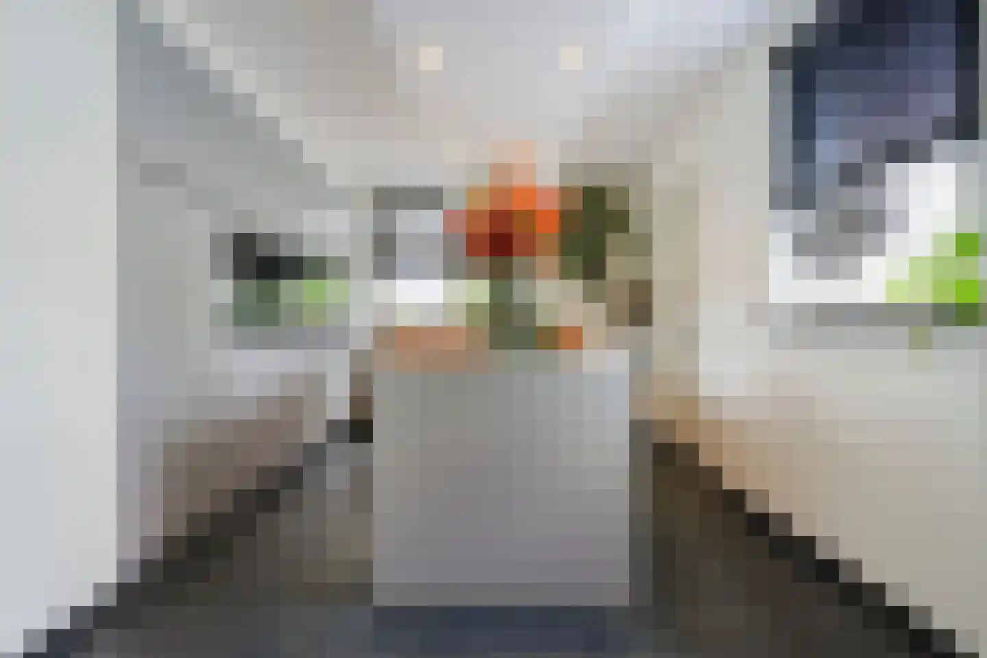 Mijlstraat 38 Boxtel thumbnail 13