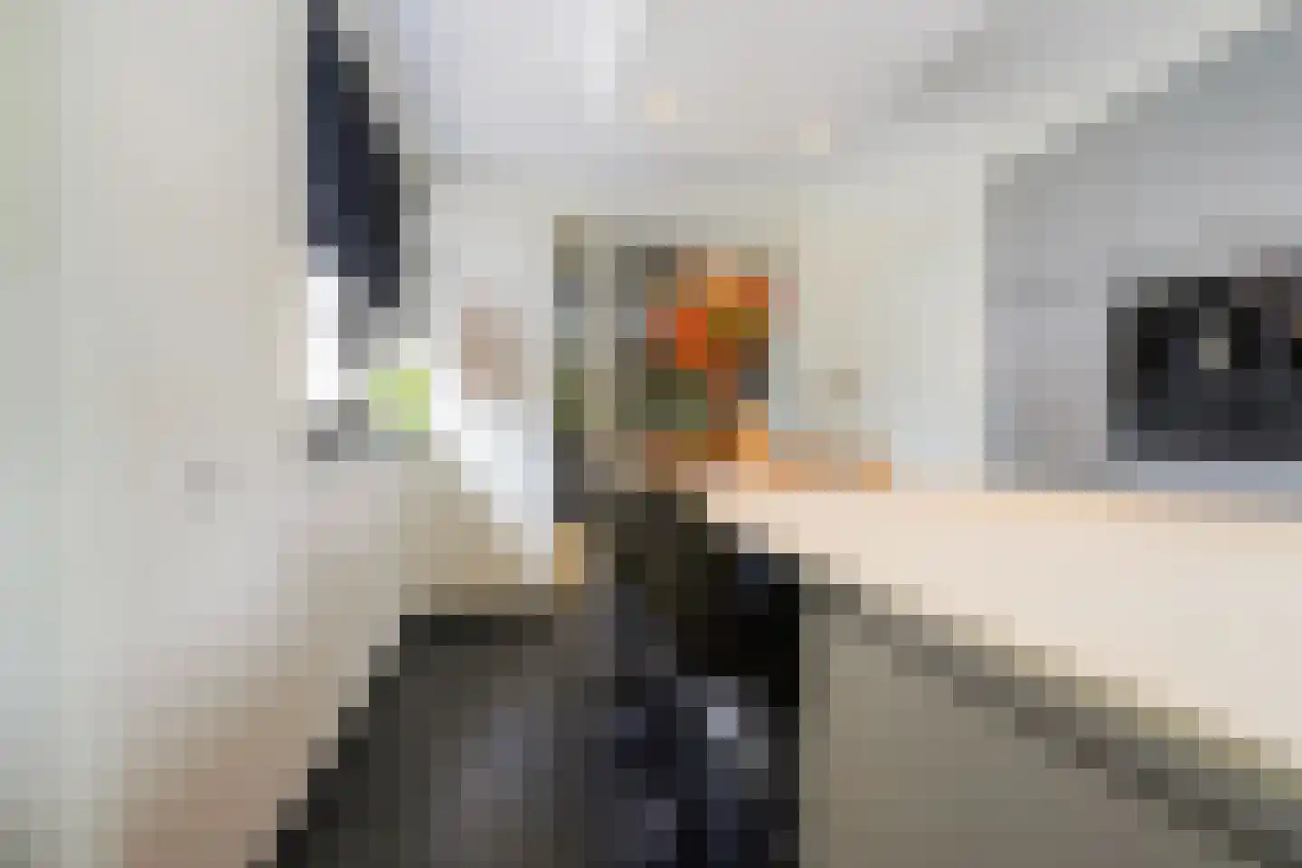 Mijlstraat 38 Boxtel thumbnail 19