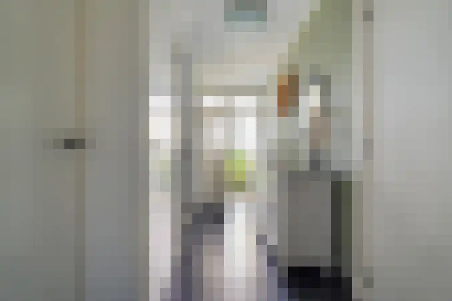 Mijlstraat 38 Boxtel thumbnail 20