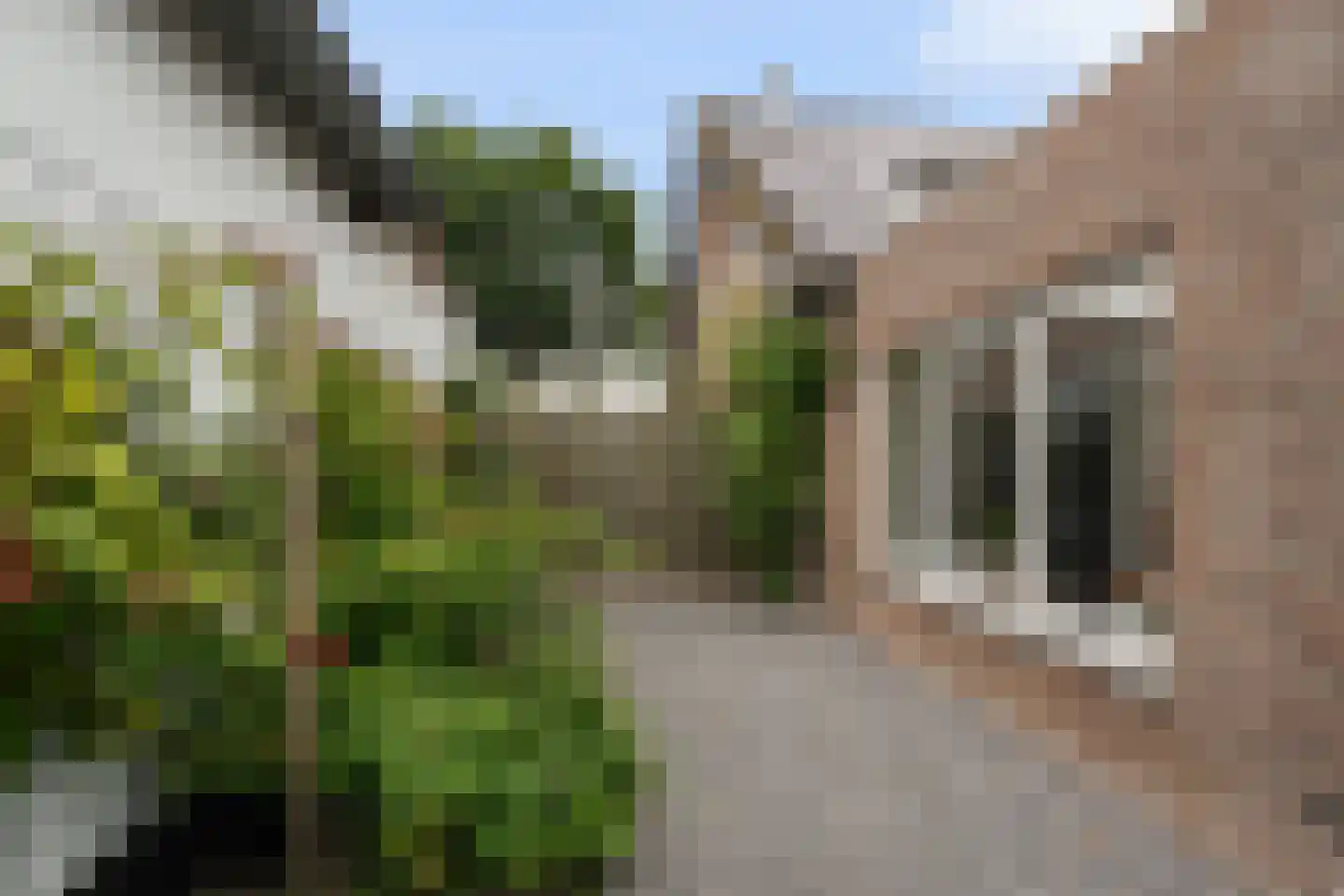 Mijlstraat 38 Boxtel thumbnail 63