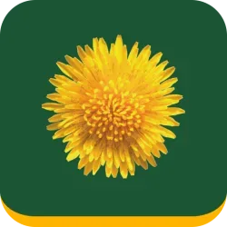 Logotipo de Mijn Buitenplaats Makelaardij & Hendriksma.nl
