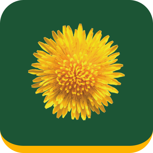 Logo Mijn Buitenplaats Makelaardij & Hendriksma.nl