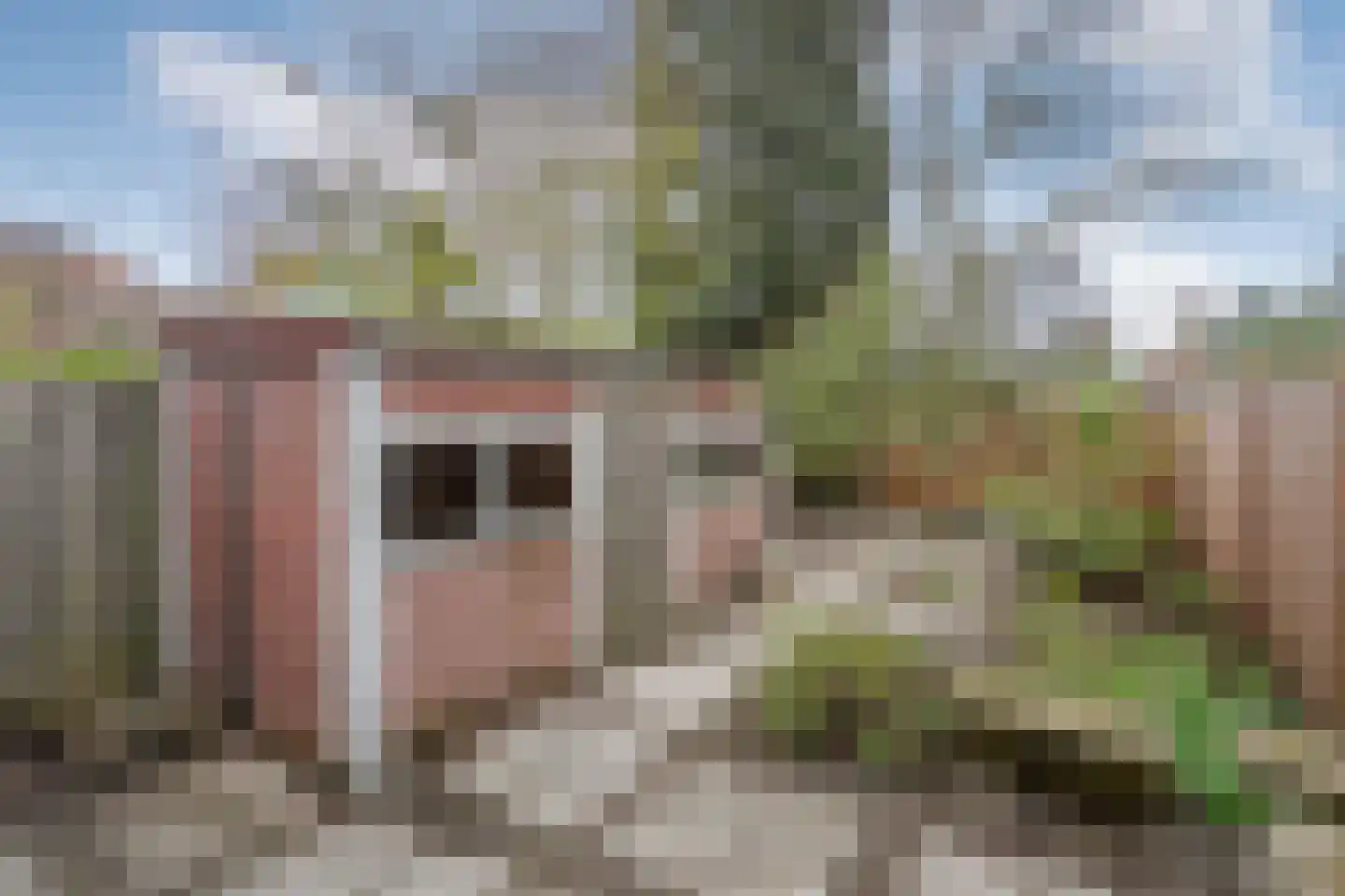Mijnbouwstraat 11 Delft thumbnail 18