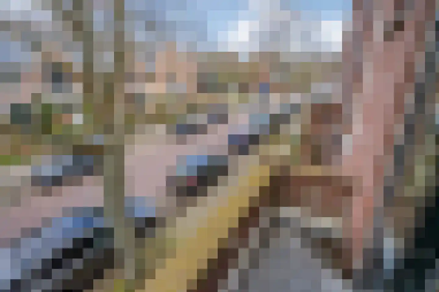 Mijnbouwstraat 11 Delft thumbnail 27