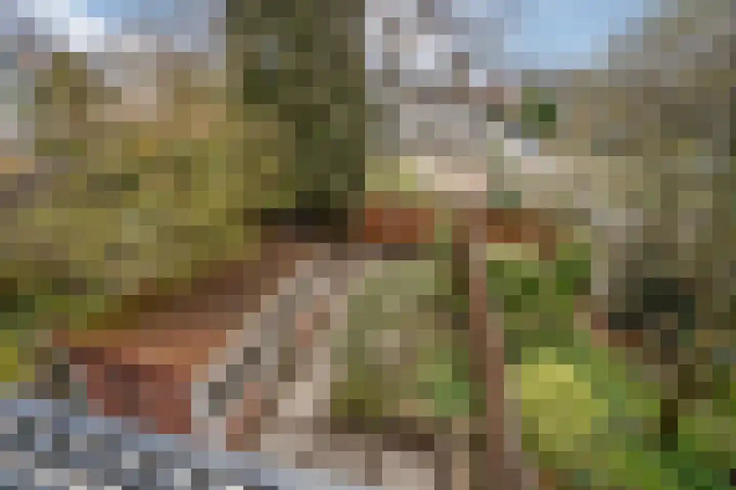Mijnbouwstraat 11 Delft thumbnail 35